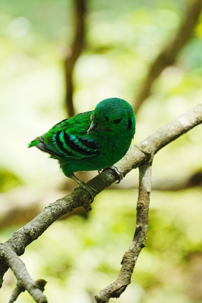 Vivid2 · Jonpoon.jpg — frame 7